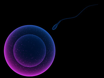 Similar image 8105536