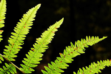 Similar image 8105566