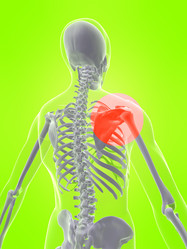 Similar image 8105585