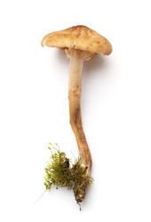 Similar image 8105605