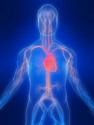 Similar image 8105648