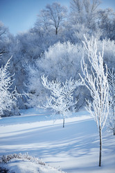 Similar image 8105671