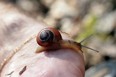 Similar image 8105678