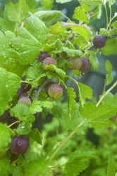 Similar image 8105683