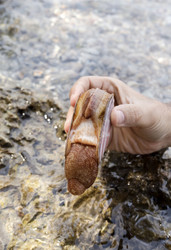 Similar image 8105696