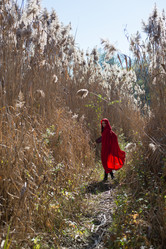 Similar image 8105736