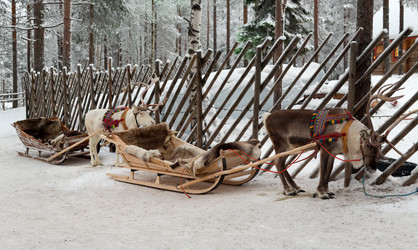 Similar image 8105846