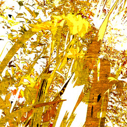 Similar image 8106225