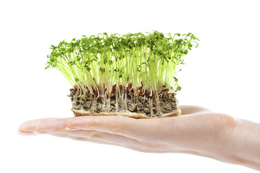 Similar image 8106250