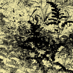 Similar image 8106256