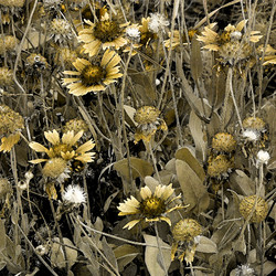 Similar image 8106261