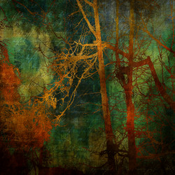 Similar image 8106264