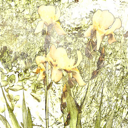 Similar image 8106265