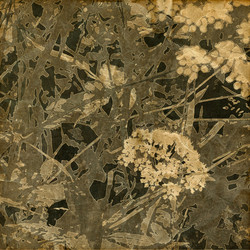 Similar image 8106266