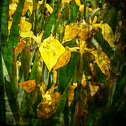 Similar image 8106268