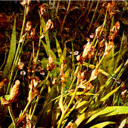 Similar image 8106272