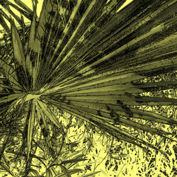 Similar image 8106296