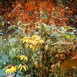 Similar image 8106302