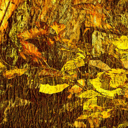 Similar image 8106303