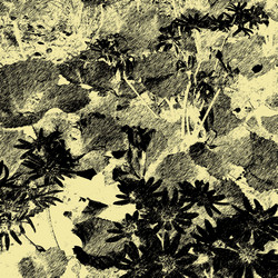 Similar image 8106304