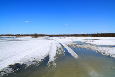 Similar image 8106361