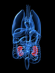 Similar image 8106366