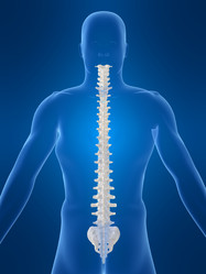 Similar image 8106435