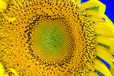 Similar image 8106484