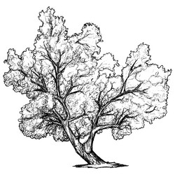 Similar image 8106537