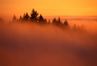 Similar image 8106729