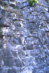 Similar image 8106730