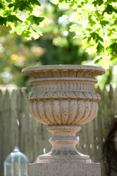 Similar image 8106731