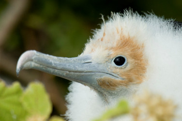 Similar image 8106738