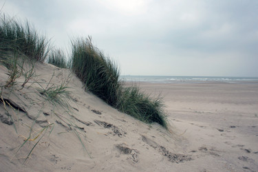 Similar image 8106742