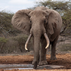 Similar image 8106765