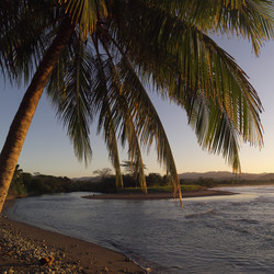 Similar image 8106775