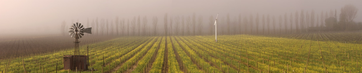 Similar image 8106777