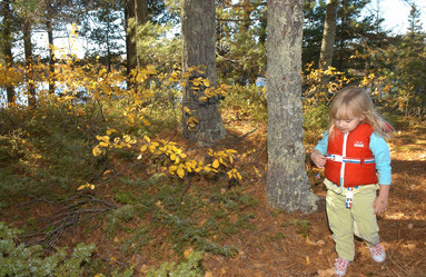 Similar image 8106809