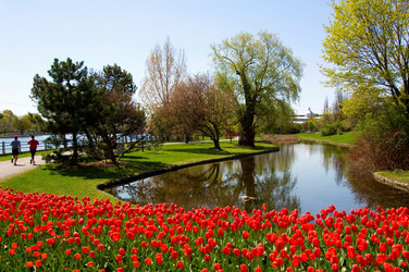 Similar image 8106811