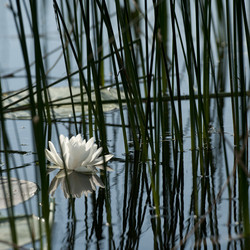 Similar image 8106814