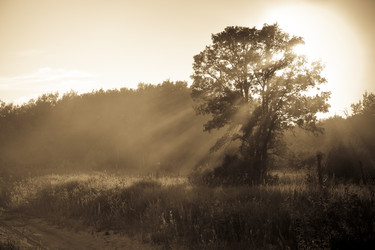 Similar image 8106815