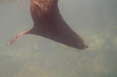 Similar image 8106884