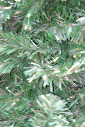 Similar image 8106895