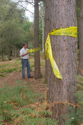 Similar image 8106897