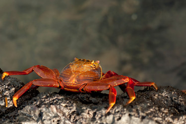 Similar image 8106899