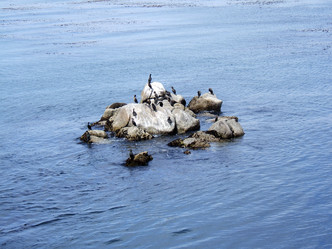 Similar image 8106900