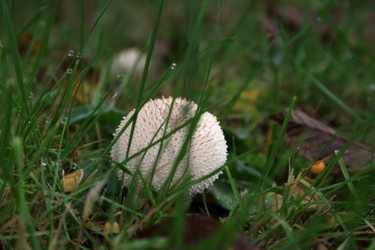 Similar image 8106902