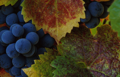 Similar image 8106910