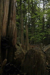 Similar image 8106916