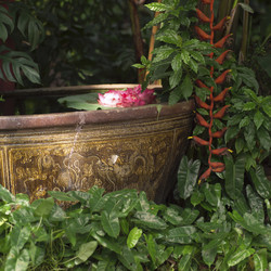 Similar image 8106917